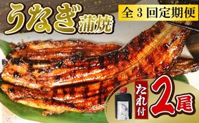 【全3回定期便】うなぎ 蒲焼 大姿焼き 2尾 (140g×2) 定期便 鰻蒲焼 ウナギ かばやき 土用 丑の日 活鰻 自家製蒲焼 たれ 山椒 ギフト 贈答 冷蔵 まとめ買い 静岡県 藤枝 ふるさと人気 [PT0192-010000]