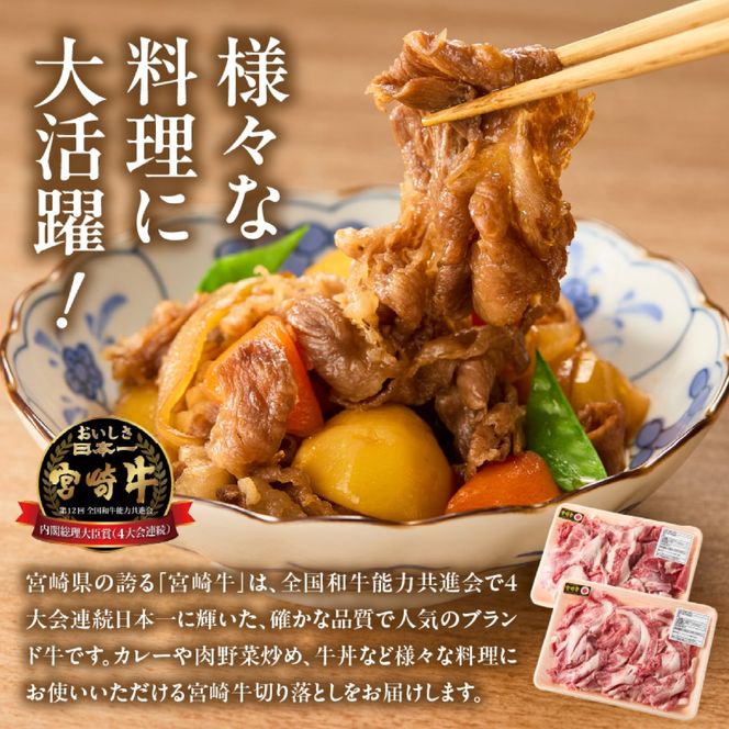 【訳あり】A4等級以上 宮崎牛切り落とし 500g×2P 計1kg（内閣総理大臣賞 A4 A5 宮崎牛 牛肉 黒毛和牛 赤身 切り落とし 小間切れ 宮崎県）