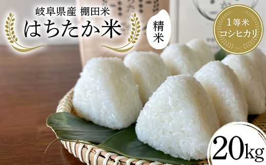 y򕌌Ðsz򕌌Y Ic 1ăRVqJ ͂ 20kgi10kg×2܁j F4N-2598