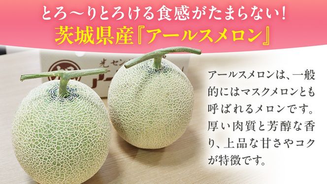 茨城県産 アールスメロン 秀品 3L サイズ × 2玉 入り おすすめ JA全農いばらき JA 【 2024年8月下旬から発送 】 メロン めろん ふるさと納税 フルーツ マスクメロン くだもの 果物 国産旬 定番 旬 期間限定 青肉 果物 [AK030us]