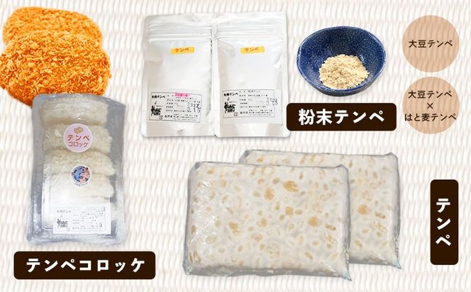 テンペ健康セットA 5個セット 矢掛テンペ 《30日以内に出荷予定(土日祝除く)》 粉末テンペ コロッケ 大豆 発酵食品 スーパーフード 岡山県矢掛町産 発酵亭---osy_fytkenaset_30d_24_19500_5p---