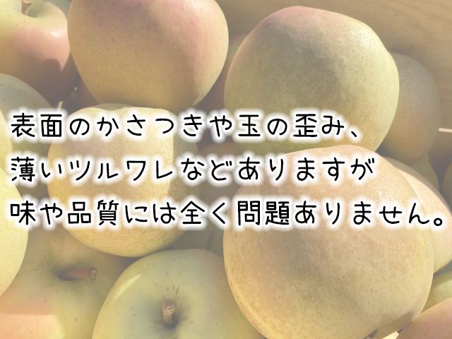 りんご 訳あり 青森 きみと リンゴ 約 5kg （10～16玉） 青森県 鰺ヶ沢町産 ヒバリノ園 フルーツ 果物 林檎 青森県産 ※オンライン決済のみ 