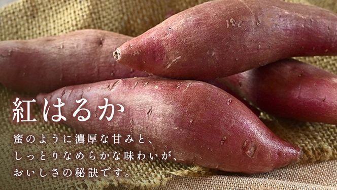 【 茨城県産 紅はるか 使用 】 猿島産 抹茶入り お芋 の 結 バスクチーズケーキ 【 パウンド型 】 ケーキ チーズケーキ スイーツ 洋菓子 デザート おやつ さつまいも 抹茶 チーズケーキ スイーツ 洋菓子 5000円 [DL06-NT]