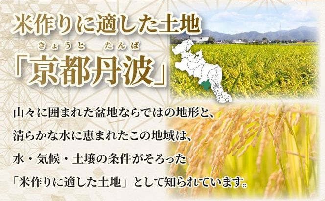 【定期12回】令和7年産 コシヒカリ 10kg×12回 京都丹波産 農家直送 産地直送 スピード配送【～3月31日まで】※北海道･沖縄･離島への配送不可