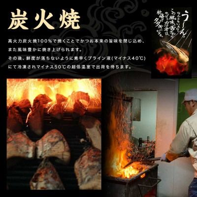 一本釣りゆず香り焼きタタキ600g(タレ付き)Z0-60【1460789】