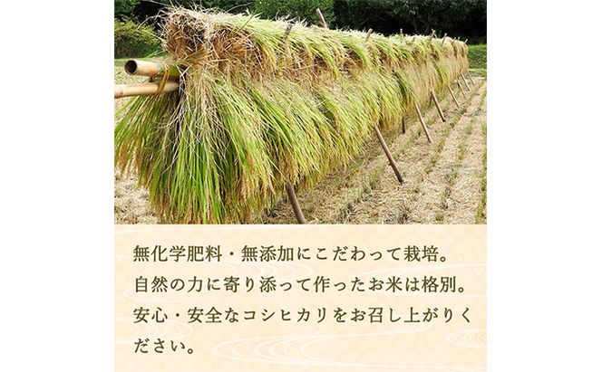 定期便 12ヶ月 ベストファーマーズ賞受賞 コシヒカリ 無洗米 2kg 無農薬 無添加 令和7年産 お米 チャック付 チャック 小分け 少量 少量パック 白米 精米 一等米 産地直送 送料無料 長野 定期 12回