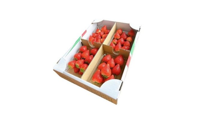 栃木県産とちあいか　1kg　イチゴ 苺 栃木県 果物 くだもの フルーツ スイーツ ギフト｜栃木県共通返礼品 栃木県産 ※2027年1月～発送