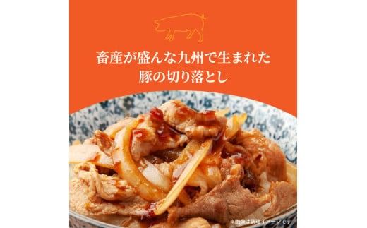 【選べる配送期間】 隔月でお届け！ 大分県産豚大容量切り落とし3kg定期便 計3回(計9kg) 計6回(計18kg)_2554R