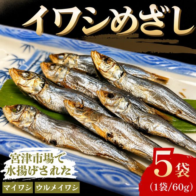小筋 いわし めざし 60g×5袋 マイワシ ウルメイワシ 鰯 真イワシ 魚 魚介 水産 網焼き 炭火焼 おつまみ 酒の肴 ご飯のお供 京都 宮津市 myz02 myz11 myz17