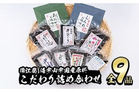  佐伯市産 国産海藻詰め合わせ (9品) ひじき 海藻 ふりかけ ちりめん こんぶ あおさ 味噌汁 サラダ ごはん おにぎり 常温 国産 大分県 佐伯市【DE03】【安部水産 (株)】