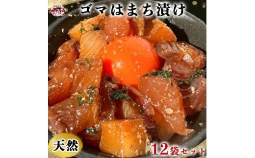 岬だよりの＜調理不要＞天然 はまちのごま漬け　12袋セット