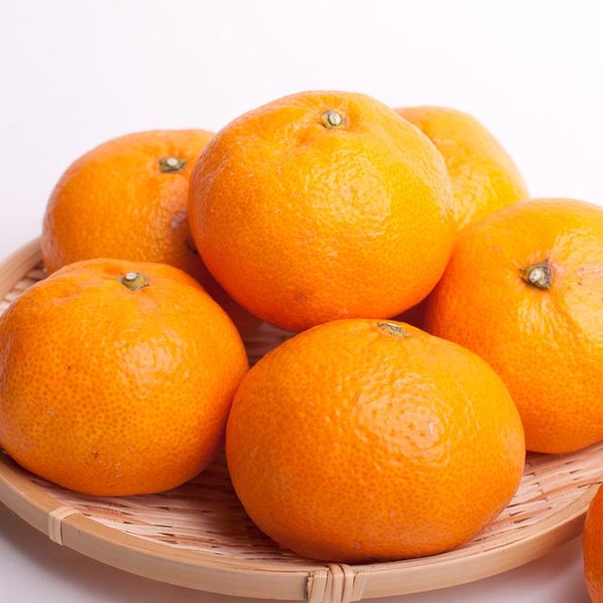 家庭用 大きな有田みかん10kg+250g（傷み補償分）【わけあり・訳あり】【光センサー選果】 