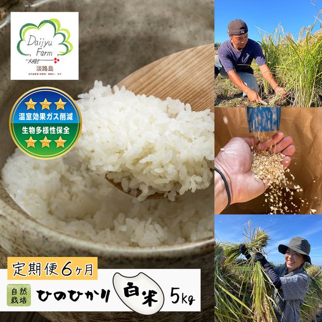 【定期便6ヶ月】自然栽培　ひのひかり（白米）　5kg