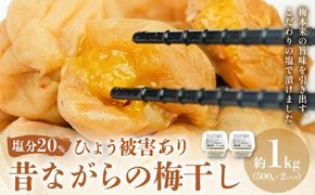 ひょう被害あり昔ながらの梅干し 塩のみで漬けたすっぱい梅干し 約1kg 500g 2パック 農業法人 株式会社紀州梅香《30日以内に出荷予定(土日祝除く)》 和歌山県 日高川町 梅 うめ フルーツ 果物---wshg_kbk4_30d_26_11000_1kg---