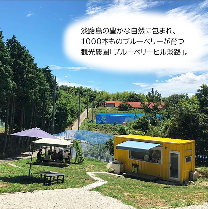 【淡路島産】大粒ブルーベリー 700g 冷凍生果《栽培期間中、無農薬栽培》　ブルーベリー