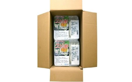 【4ヶ月定期便】ゆきむら壱番亭のニンニクにら餃子3パック(48個入り) ※離島への配送不可