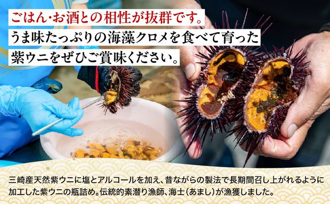 【数量限定】瓶詰め紫ウニ（60g・単品） 冷蔵 ※北海道・東北地方・沖縄・離島への配送不可     IKTJ023