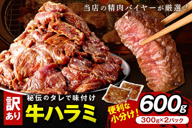 【訳あり】牛ハラミ（サガリ） 秘伝のタレ込み 味付け肉 600g（300g×2パック）（2026年1月上旬～発送） 牛肉 訳あり はらみ さがり 味付け肉 小分け 個包装 牛肉 タレ漬け 手作り 焼肉 肉 牛ハラミ わけあり 訳有り ワケアリ 焼肉 日用品　YK00461