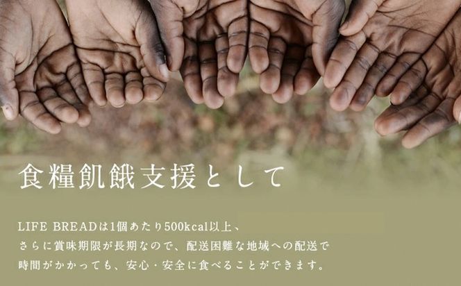 LIFEBREAD 選べる 10本 20本 50本 110g サクセム株式会社《30日以内に出荷予定(土日祝除く)》和歌山県 紀の川市 防災備蓄 賞味期限5年以上 ライフブレッド ブレッド---wsk_sks2_30d_24_24000_10---
