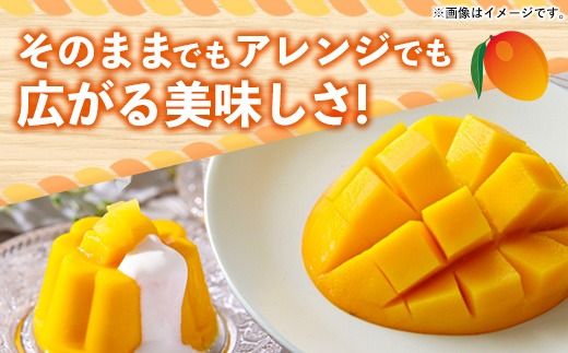 【化粧箱入り】【先行受付・2026年発送】新地農園 アップルマンゴー 優品 約2kg （4～6玉）- 産地直送 先行予約 沖縄県産 贈り物 ギフト 南国フルーツ 旬の味覚 オススメ 沖縄県 八重瀬町
