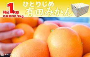 みかん ひとりじめ 箱込 約1kg(内容量約 0.9kg) サイズミックス 和歌山県産 産地直送 家庭用【みかんの会】 AX386