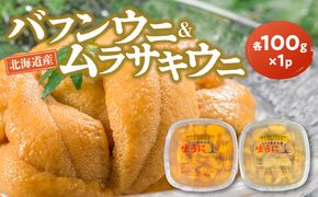【2027年夏発送】塩水ウニ【バフンウニ＆ムラサキウニ】各100g×1パック 北海道余市町産 冷蔵  生うに うに 海産物 魚介類 北海道産 余市産 とろける 濃厚 磯の風味 甘味 強い 香り  北海道 余市町_Y037-0358