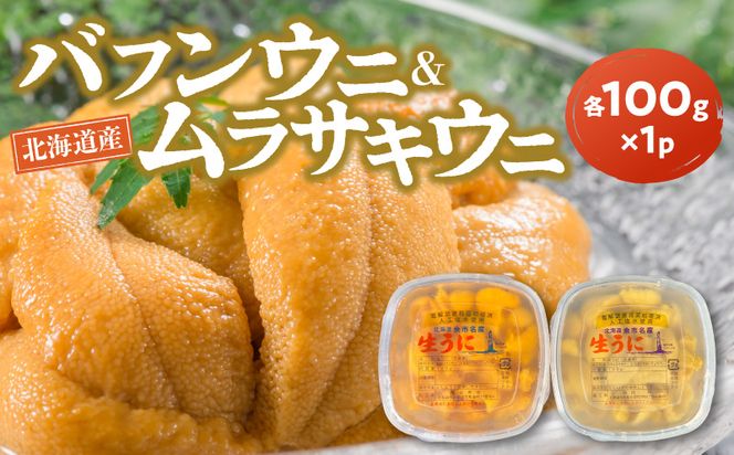 【2027年夏発送】塩水ウニ【バフンウニ＆ムラサキウニ】各100g×1パック 北海道余市町産 冷蔵  生うに うに 海産物 魚介類 北海道産 余市産 とろける 濃厚 磯の風味 甘味 強い 香り  北海道 余市町_Y037-0358