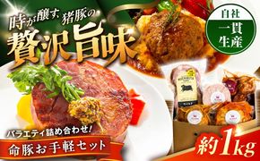 『お手軽セット』 豚肉 ポークステーキ ハンバーグ 詰め合わせ お取り寄せ 国産 ギフト 冷凍 沖縄市 / DELICATESSEN NUCHIBUTA [BCAR006]
