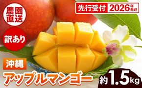 【先行受付】【2026年発送】ヤマト農園 アップルマンゴー訳あり約1.5kg（3～6玉）- 先行予約 沖縄県産 産地直送 南国フルーツ 旬の味覚 季節の果物 ご自宅用 訳アリ 沖縄マンゴー 沖縄県 八重瀬町