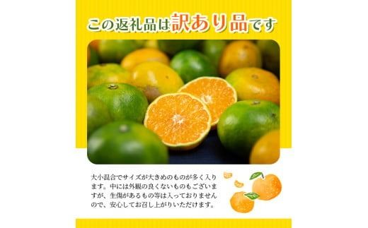 【先行予約】＼ 選べる容量 ／ 訳あり 極早生温州みかん 2S～3L サイズおまかせ 【2024年9月下旬から10月中旬までに順次発送】 / くだもの フルーツ 果物 大容量 家庭用 人気 みかん 蜜柑 わけあり 極早生みかん ごくわせ 数量限定【njb691_cho】