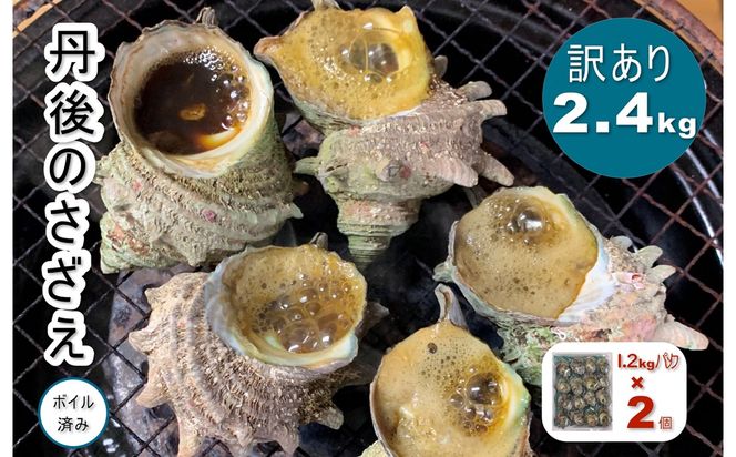 訳あり　京都府産　さざえ（ボイル済）2.4kg（約24～48個） 新鮮 サザエ 栄螺 ボイル つぼ焼き 壷焼き つぼやき お刺身 BBQ バーベキュー アウトドア キャンプ わけありさざえ 2.4キロ さざえの壷焼き　TB00061