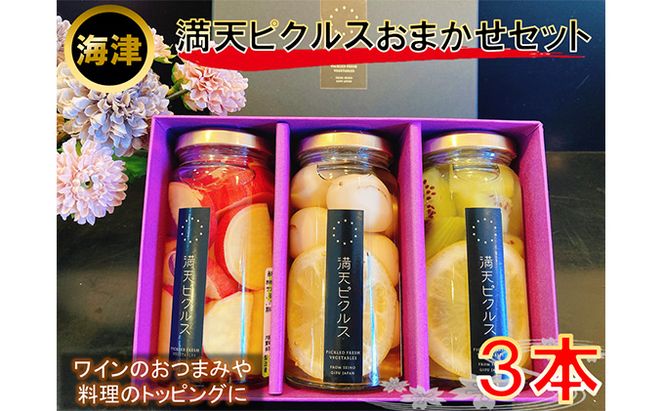 満天ピクルスおまかせ3本セット 漬物 缶詰 加工食品 