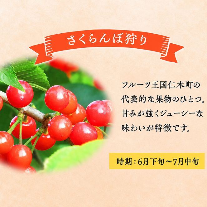 妹尾観光農園 フルーツ狩りチケット2000円 割引 チケット クーポン 利用券 フルーツ 旅行 体験 農園 北海道 仁木町 [フルーツショップ妹尾観光農園]