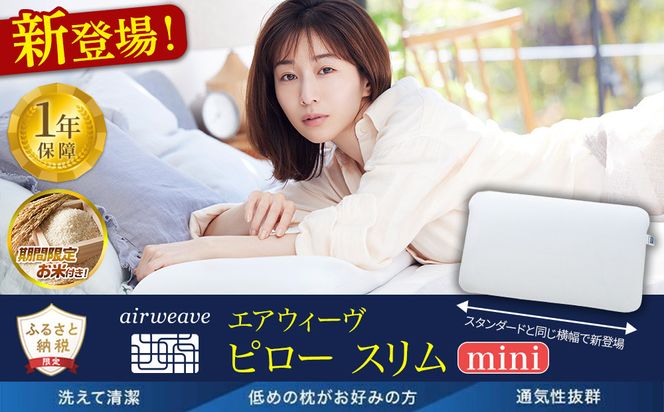 エアウィーヴ　ピロースリムmini 232238_T259