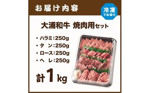 大浦和牛焼肉セット(1kg)《 牛肉 牛 国産 焼肉 セット おすすめ ロース 美味しい 牛タン ハラミ ヘレ フィレ ヒレ ヒレ肉 食べ比べ バーベキュー 》【2405A00206】
