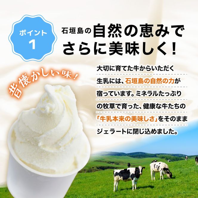 石垣島ミルミル本舗　ミルミル人気ジェラートセット（132ml×12個）　【石垣島 石垣市 沖縄県石垣市 セット ジェラート 石垣島産 八重山】
