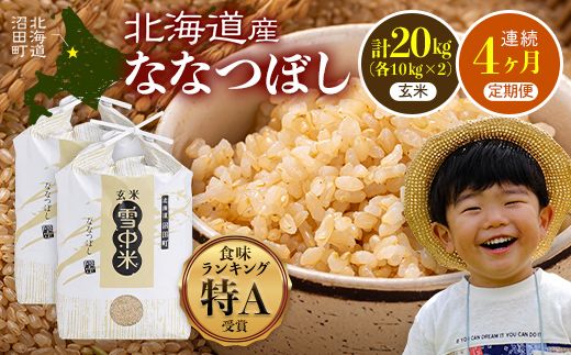【定期便4ヶ月】ななつぼし 玄米 20kg(10kg×2袋) 5月発送開始 特Aランク米 令和7年産 雪冷気 籾貯蔵 雪中米 北海道 nr-1301
