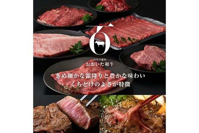 ＜定期便・全6回(連続)＞豊後牛・おおいた和牛定期便(総量2.4kg) 牛肉 国産 和牛 焼肉 切り落とし ヒレ ヒレ肉 ステーキ ロース すき焼き しゃぶしゃぶ 大分県 佐伯市 【FW015】【ミートクレスト】