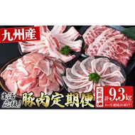 【定期便 全4回】九州産豚肉 生活応援定期便(計9.3kg) t0058-002