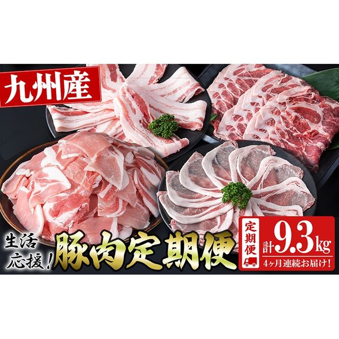 【定期便 全4回】九州産豚肉 生活応援定期便(計9.3kg) t0050-020