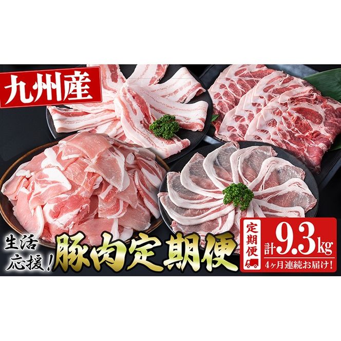 【定期便 全4回】九州産豚肉 生活応援定期便(計9.3kg) t004-012