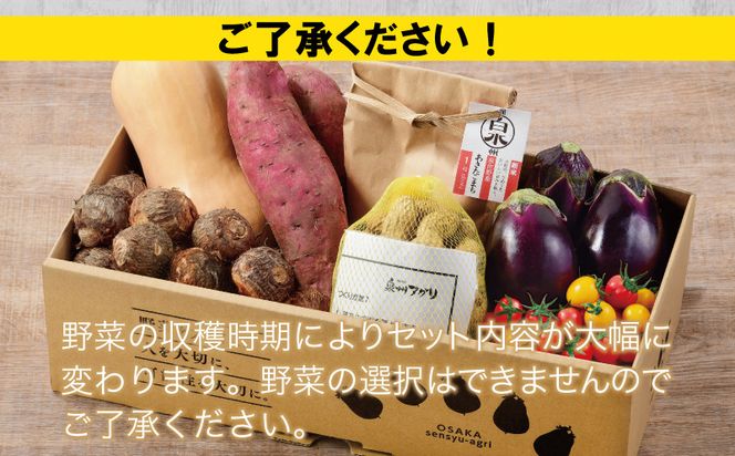 099H3018 【数量限定】【新米1kg入り】ねね屋の採れたて野菜セット 7品目以上 詰め合わせ 期間限定