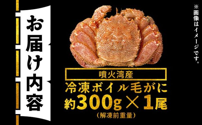 北海道 噴火湾産 冷凍 ボイル 毛がに 約300g×1尾