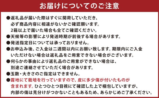 【先行受付】 特別栽培みかん 10kg サイズミックス 温州みかん みかん ミカン 蜜柑 フルーツ 柑橘 果物 果実 熊本県 上天草市【2026年12月下旬から2027年1月下旬発送開始】