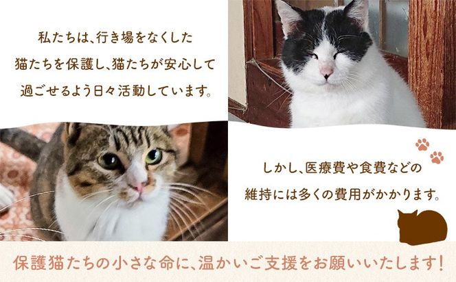 【返礼品なし】保護猫支援寄附 一般社団法人オープンセサミアライブ 熊本県 南阿蘇村 保護猫 支援 猫 ネコ ねこ 生活支援 動物愛護 保護 返礼品なし 寄附 牧場 オープンセサミ アニマルサンクチュアリ---sms_opnekosien_r7_5000---