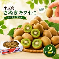 小豆島さぬきキウイっこ 約2kg  果物 旬 果物類 フルーツ 果物詰合せ 