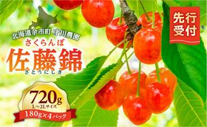 【先行予約：2026年6月下旬以降発送】北海道余市産 佐藤錦 720g L～2Lサイズ 才川農園 さくらんぼの王様 完熟もぎたて 産地直送 寒暖差栽培 完熟 フルーツ ギフト 送料無料_Y168-0001