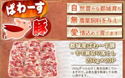 「ぱわーす豚」モモ肩切り落とし5kg_18-6404_(都城市) 都城産 豚肉 豚モモ肩切落とし肉(250g×20パック) 計5キロ ブランドポーク  真空パック 小分け