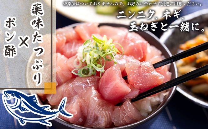 【3回定期便】まぐろ さいころサイズ(150ｇで2～3人前) 150g×2袋 - 定期便 国産 海鮮丼 漬け丼 煮物 鮪 マグロ カット済み 角切り 小分けパック 新鮮 魚介 産地直送 龍馬の海鮮隊 野島水産 高知県 香南市 Wnz-0065