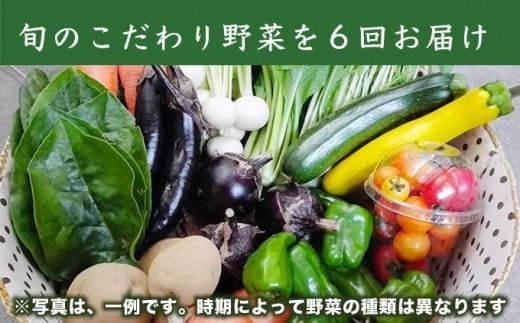 ［年6回定期便］ 農薬・化学肥料を使わずに栽培した野菜年6回定期便 OBUSE Meguru 野菜セット シーズンコース［おぶせファーマーズ］おまかせ 野菜 やさい 詰め合わせ 8～12種類 長野 信州 数量限定 産地直送 令和7年産 【2025年5～6月より順次発送】 ［FY-5］